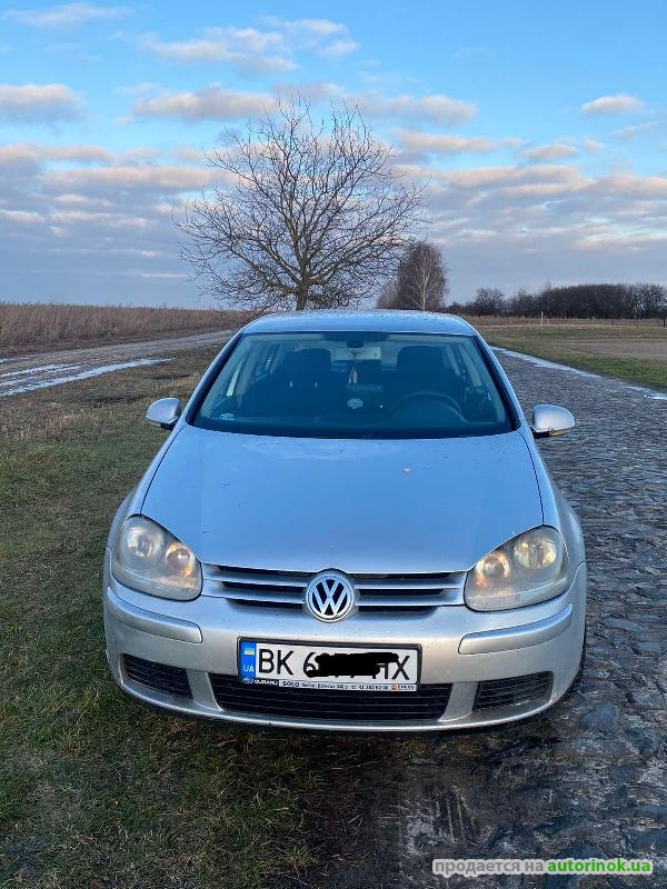 Volkswagen/1500,2.0(2004 г.)